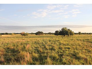Tract 7 - LAND AUCTION - 440+/- Acres offered in 15 Tracts in Tulsa County